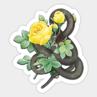 Vintage Black Snake and Yellow Roses Sticker